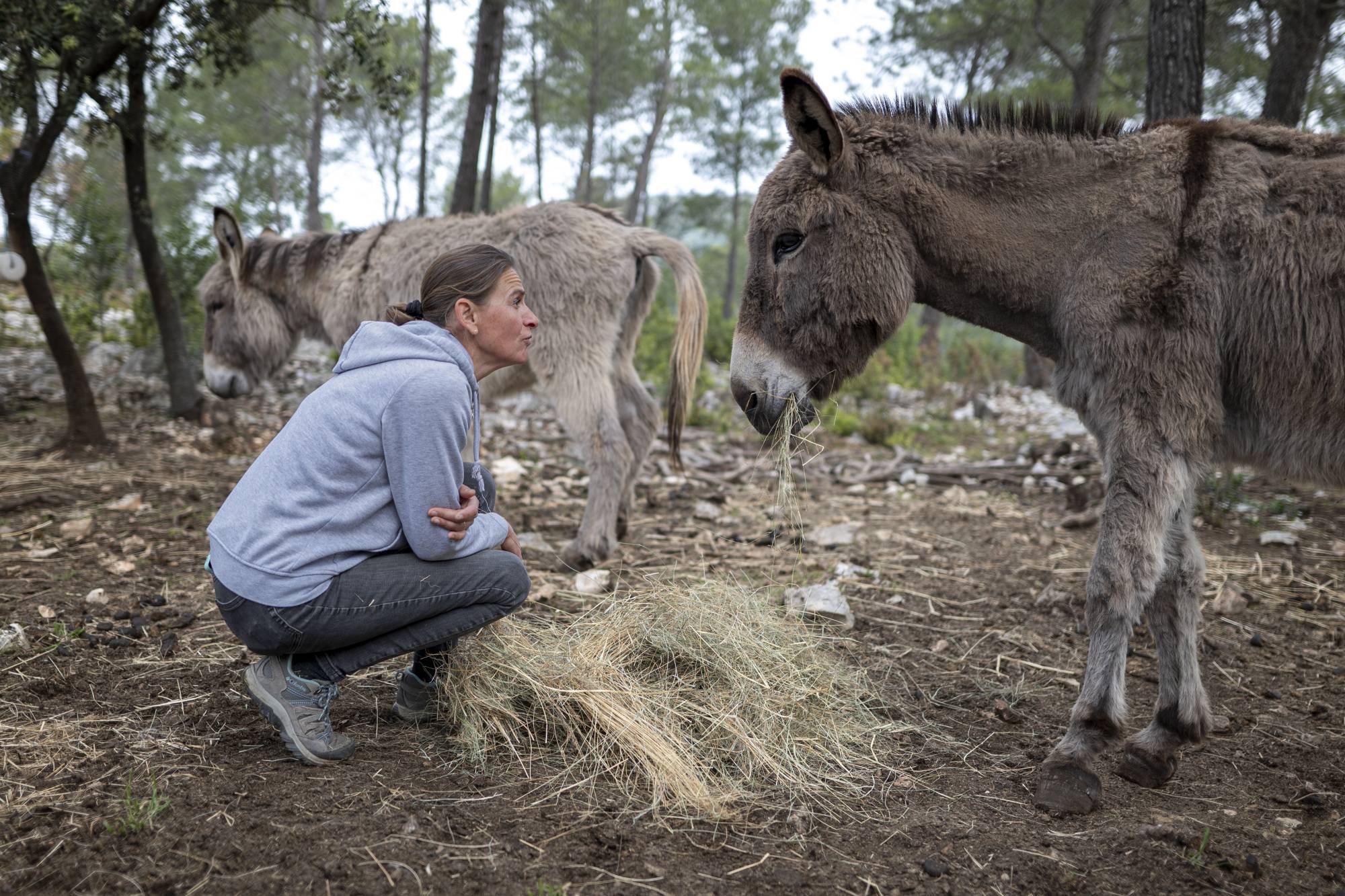 Podcasts les Ânes de Sainte-Baume