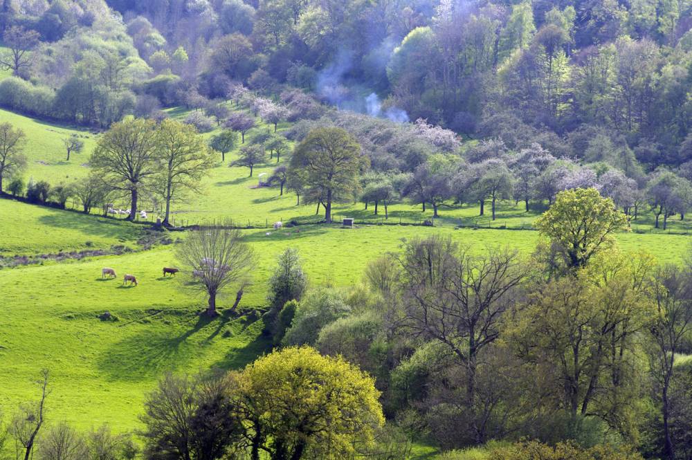 Paysage agroforestier dans le Parc naturel régional Normandie Maine © F. Massias