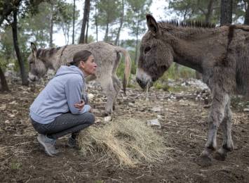 Podcasts les Ânes de Sainte-Baume