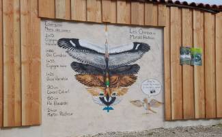 Toise au Parc des oiseaux du Marais poitevin