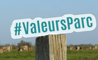 Vidéo la marque Valeurs Parc naturel régional dans le Marais poitevin