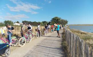 Promenade guidée à vélo avec Original Vélo Tour