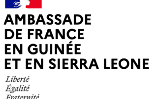 Ambassade France en guinée logo 