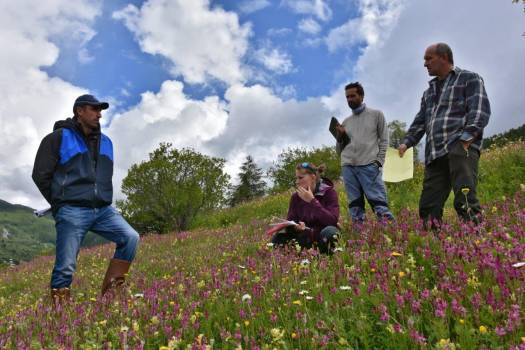 Passage du jury sur une parcelle agricole dans le parc du Queyras