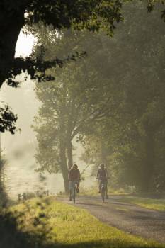 Brume des étangs de Brenne