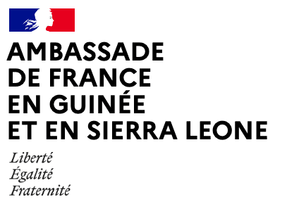 Ambassade France en guinée logo 