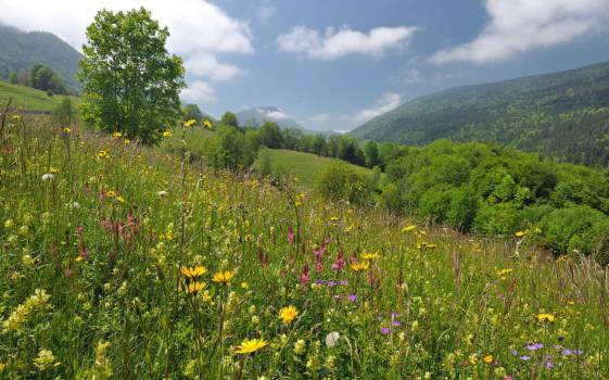 © PNR Massif des Bauges