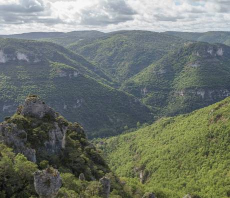 PNR Grands Causses Gorges de la Dourbie