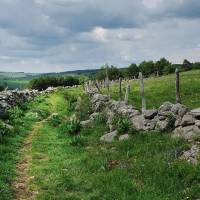 PNR Aubrac - A. Méraville