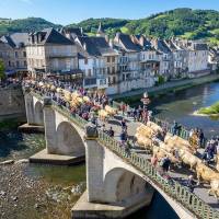 Transhumance à Saint Geniez d'Olt et d'Aubrac - PNR Aubrac - B. Colomb PACT Aubrac