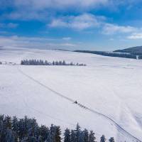 Chien de traineau - PNR Aubrac - JP Viguier