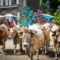 Transhumance - PNR Aubrac - B. Colomb PACT Aubrac