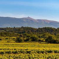 Domaine Plein Pagnier © C. Flaccomio_WeGo