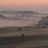 Vergers des Vosges du Nord