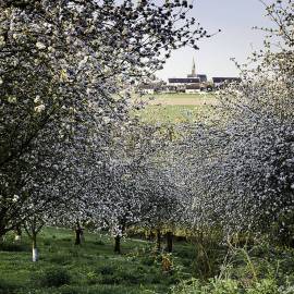 Vergers, Vallée de la Rance-Côte d'Emeraude