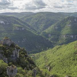 PNR Grands Causses Gorges de la Dourbie